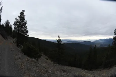 DSC_0121 (Large).JPG